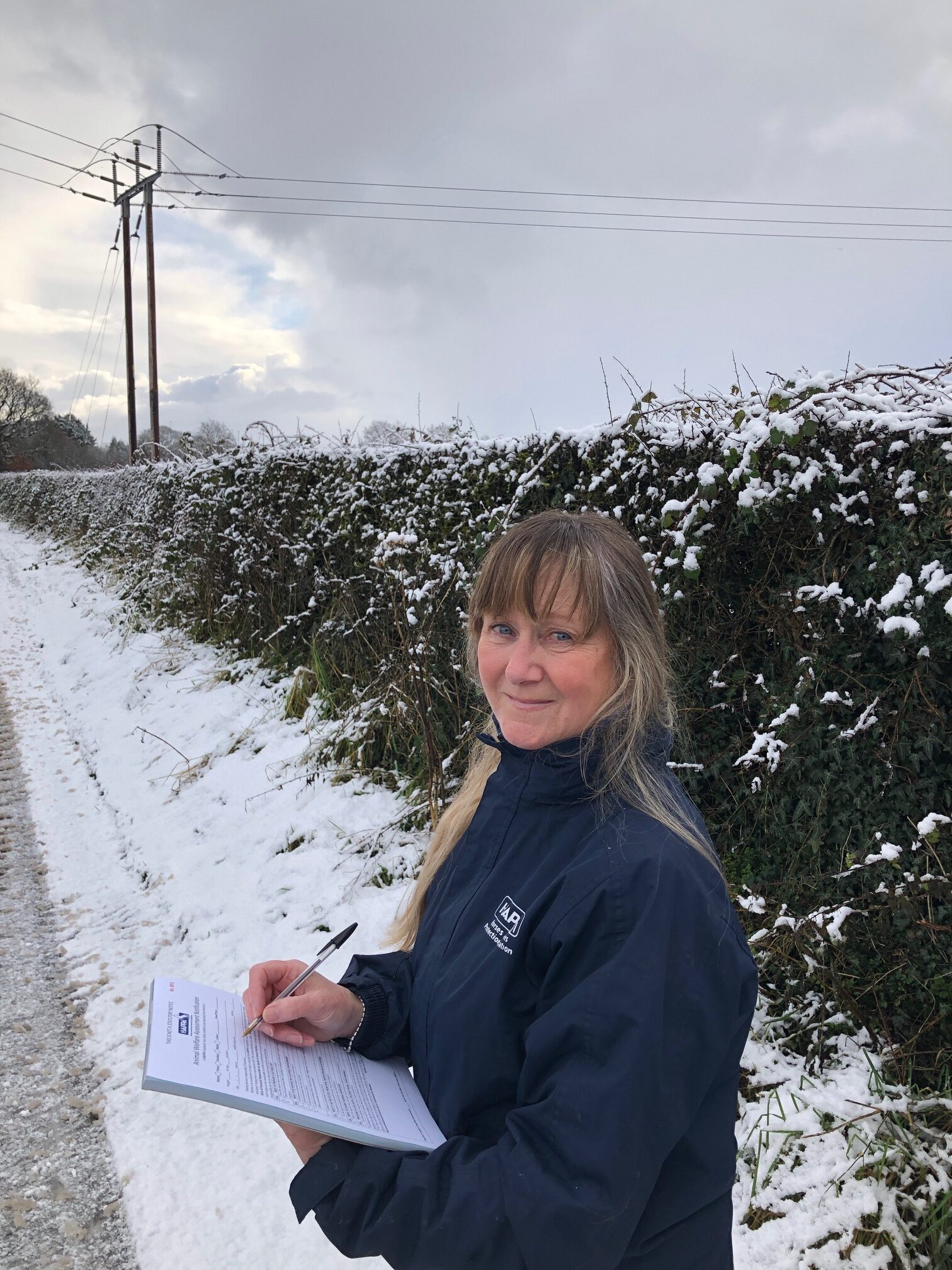 A day in the life of an Equine Inspector