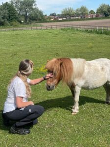 A woman with blonde hair wearing practical clothes pets a brown and white Sheland pony with a long mane