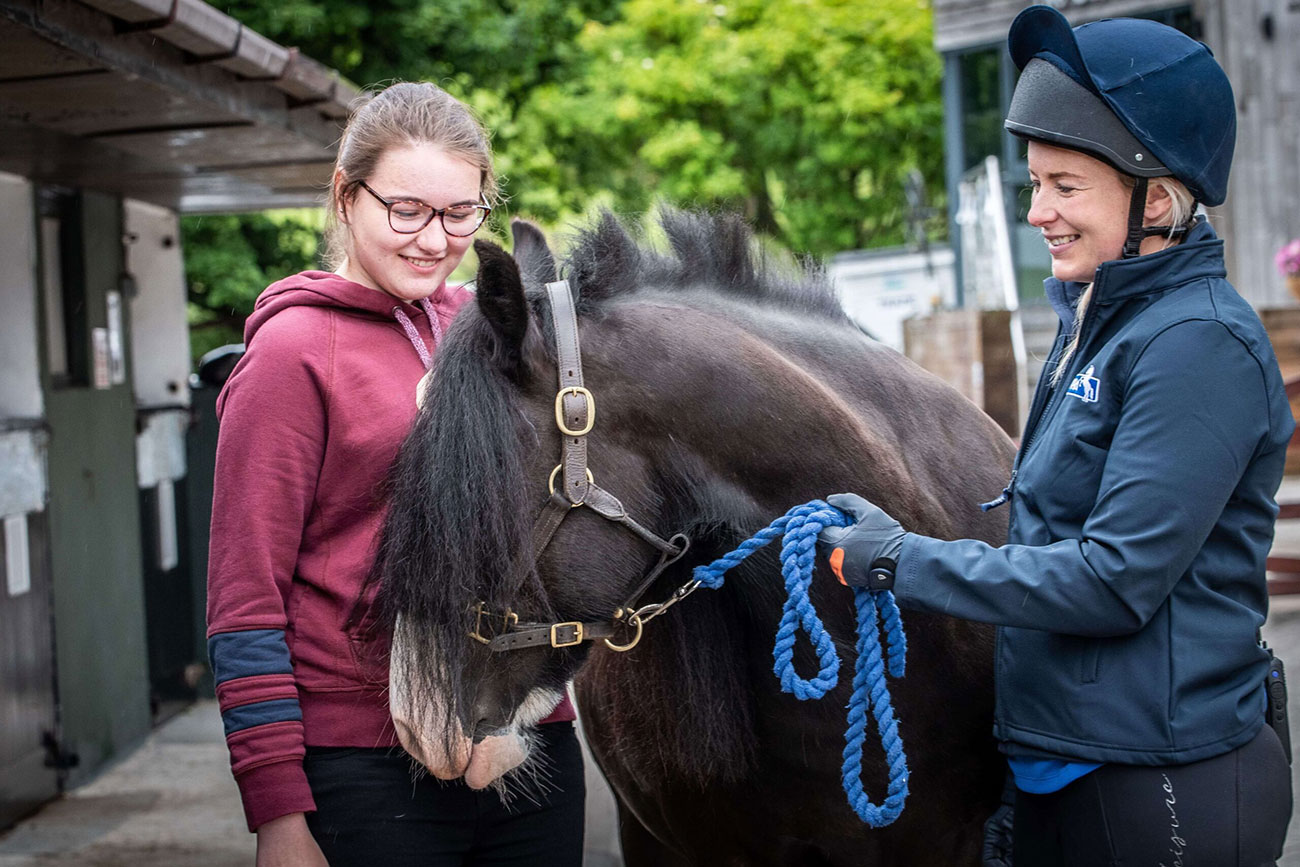 Equine Charity Launches Educational Courses for Beginners