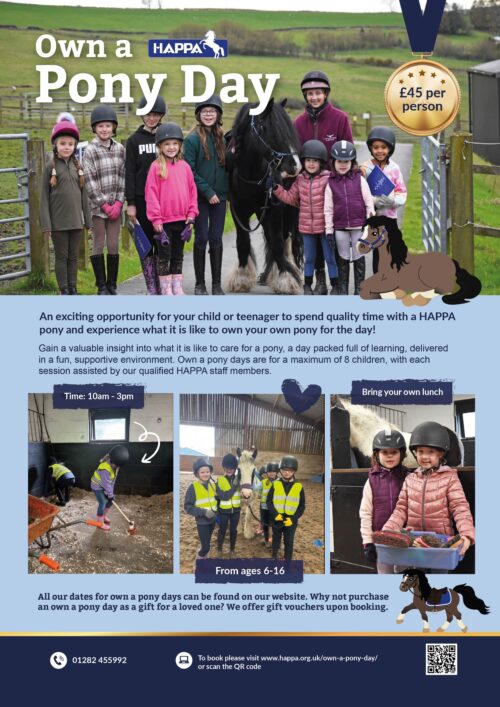 Own a Pony Day Experience at HAPPA Burnley, Lancashire