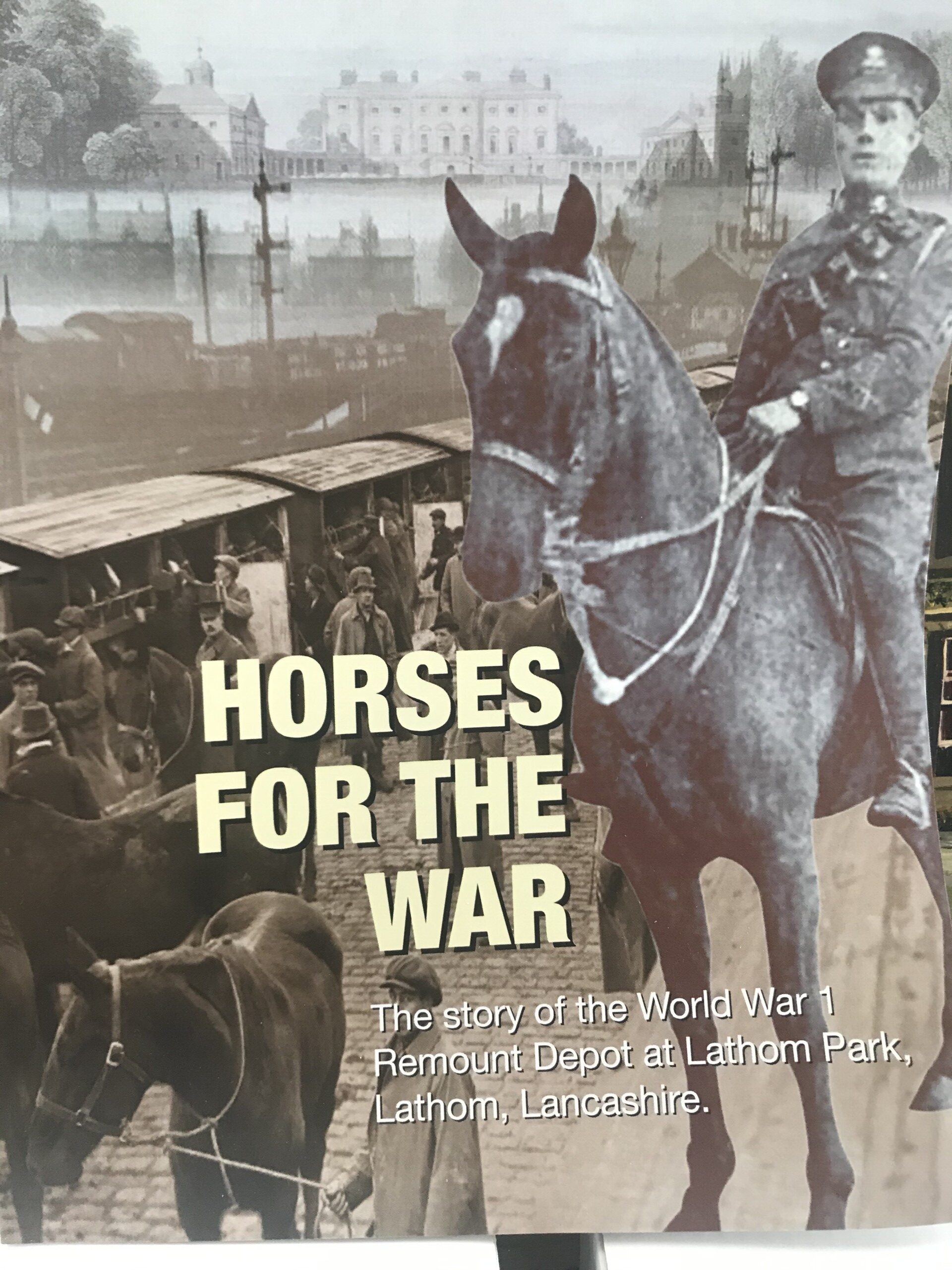 The cover of the book "horses for war"