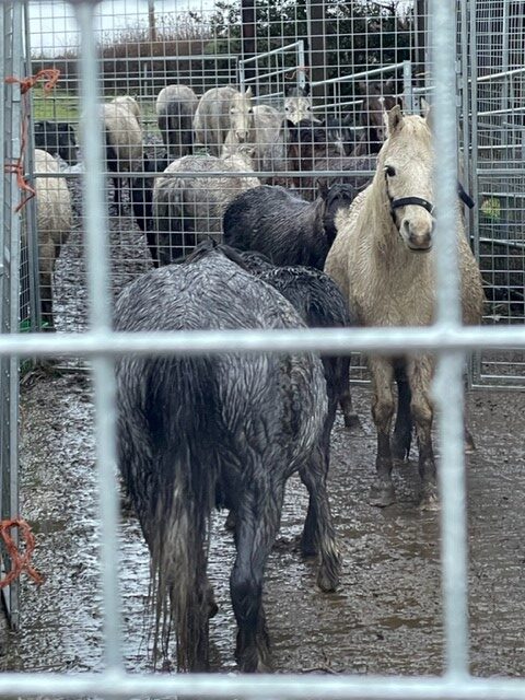 Round Up