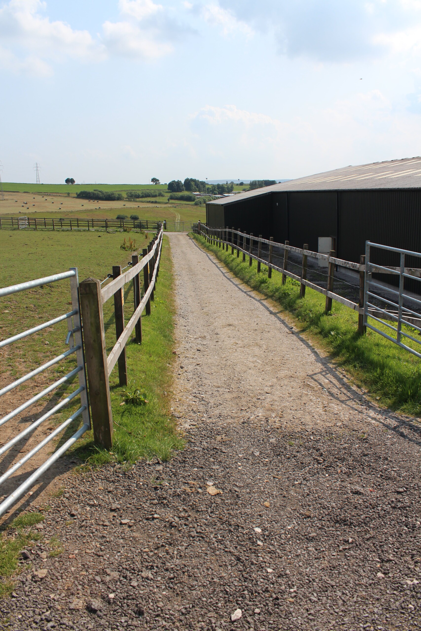 An image of the back road at HAPPA