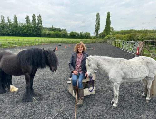 Maureen, Winnie, and Midnight – A Journey of Love and Rehoming with HAPPA