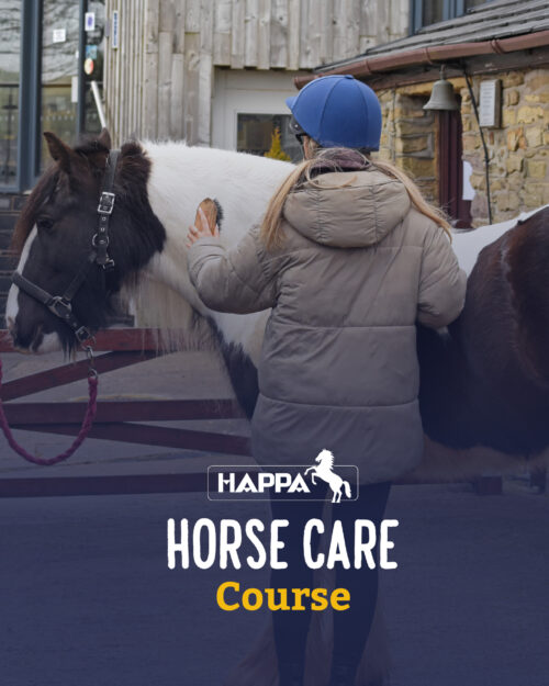 Horse Care Course