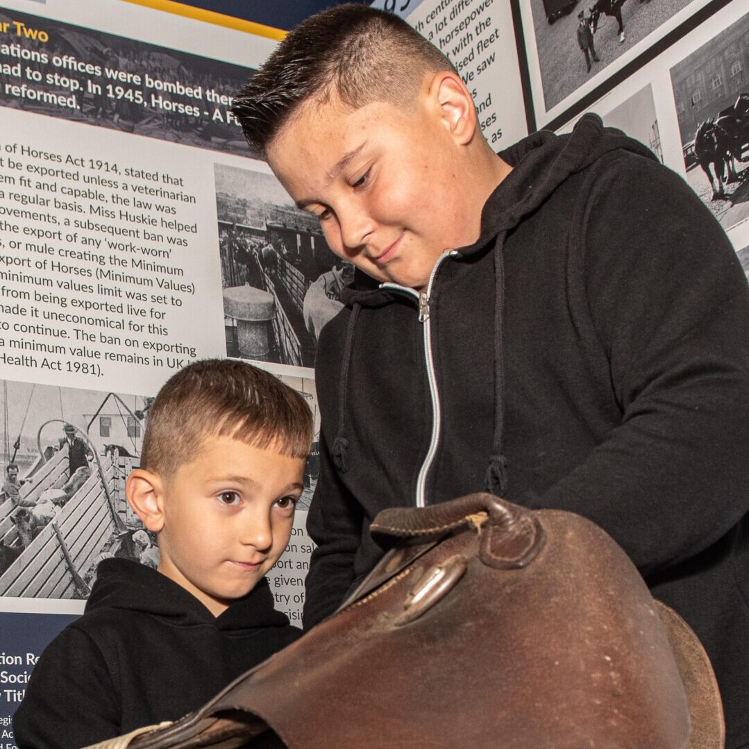 Museum of equine welfare