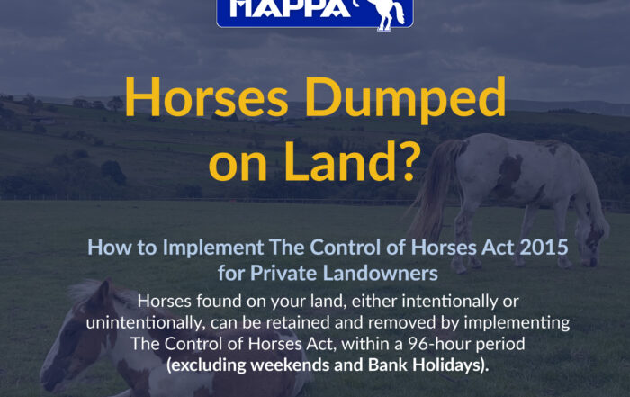 Shows two horses in the background, with text that says 'Horses Dumped on Land?'