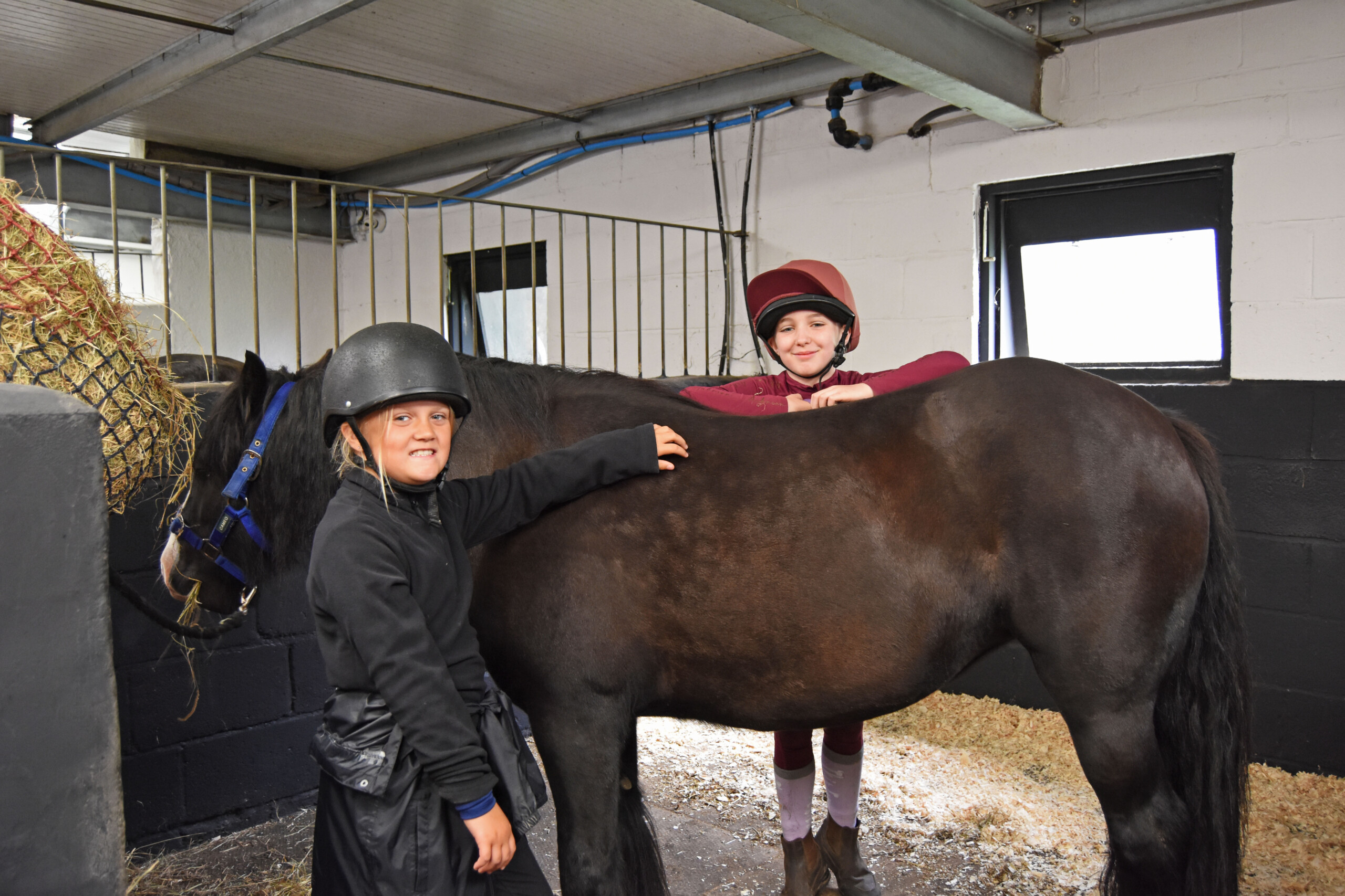 Two young girls stood with a pony