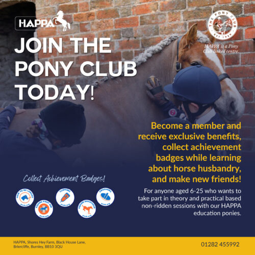 The Pony Club