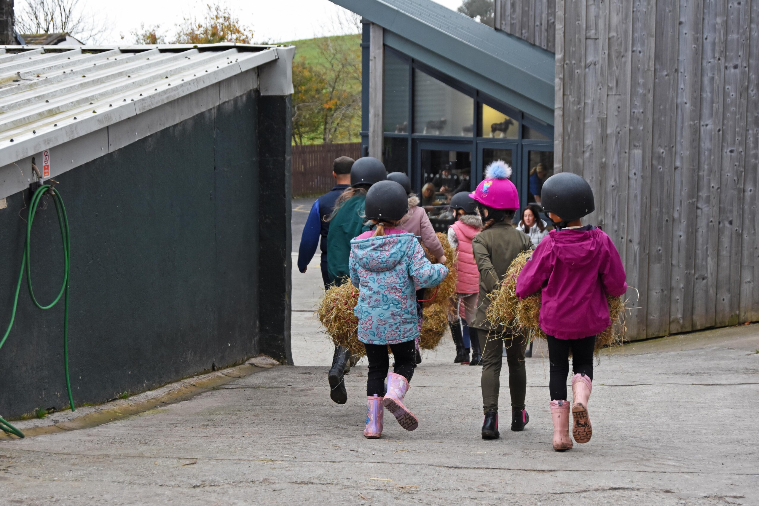 Own A Pony CLub