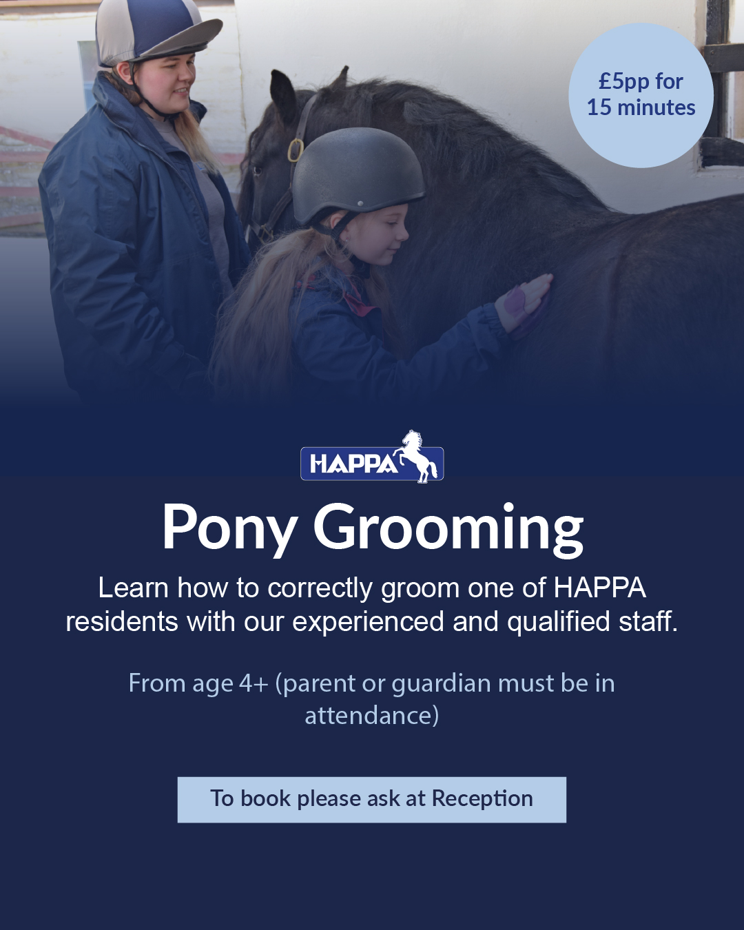 Child grooming a pony during a pony grooming experience at HAPPA