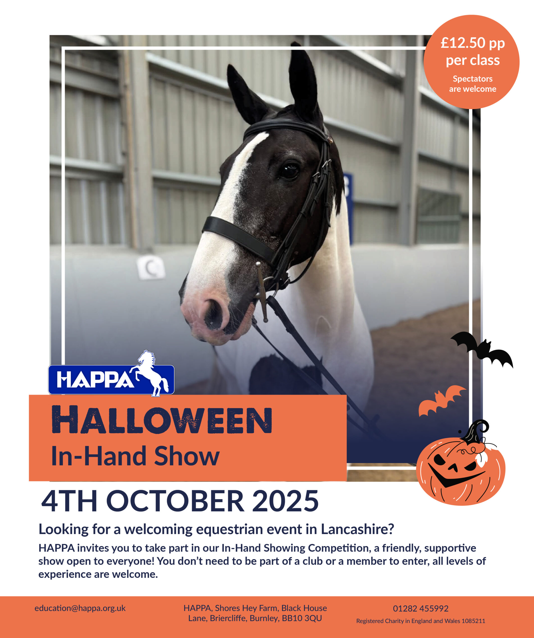 HAPPA in-hand halloween show in Burnley, Lancashire. Suitable for all levels and no membership or club required.
