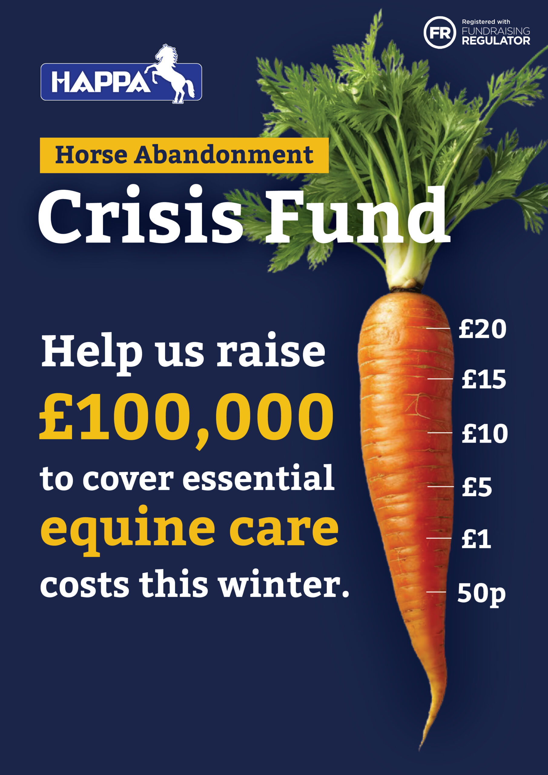 Horse Abandonment Crisis HAPPA UK EQUINE CHARITY