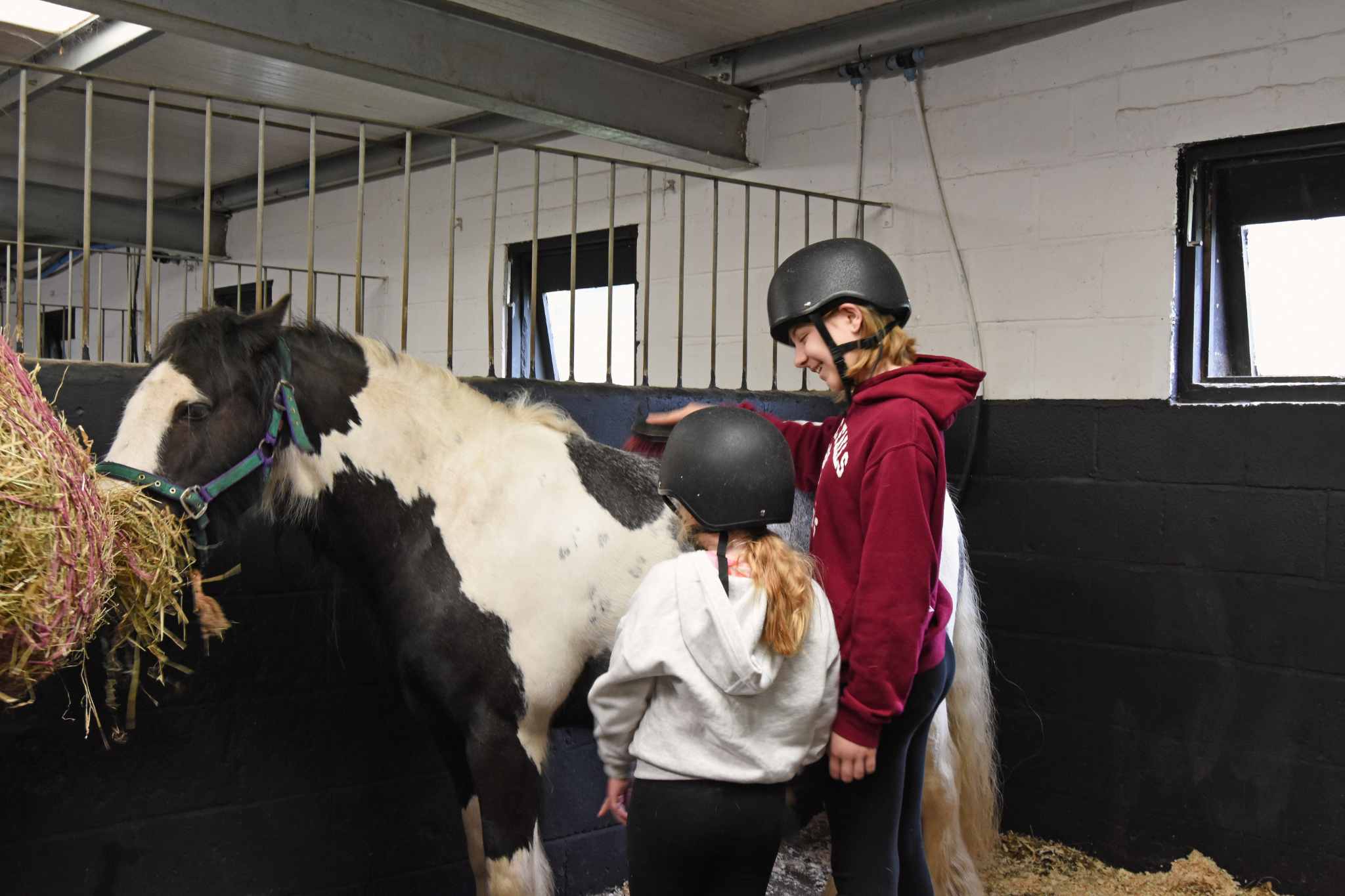 Child grooming a pony during HAPPA Own A Pony Day in Lancashire