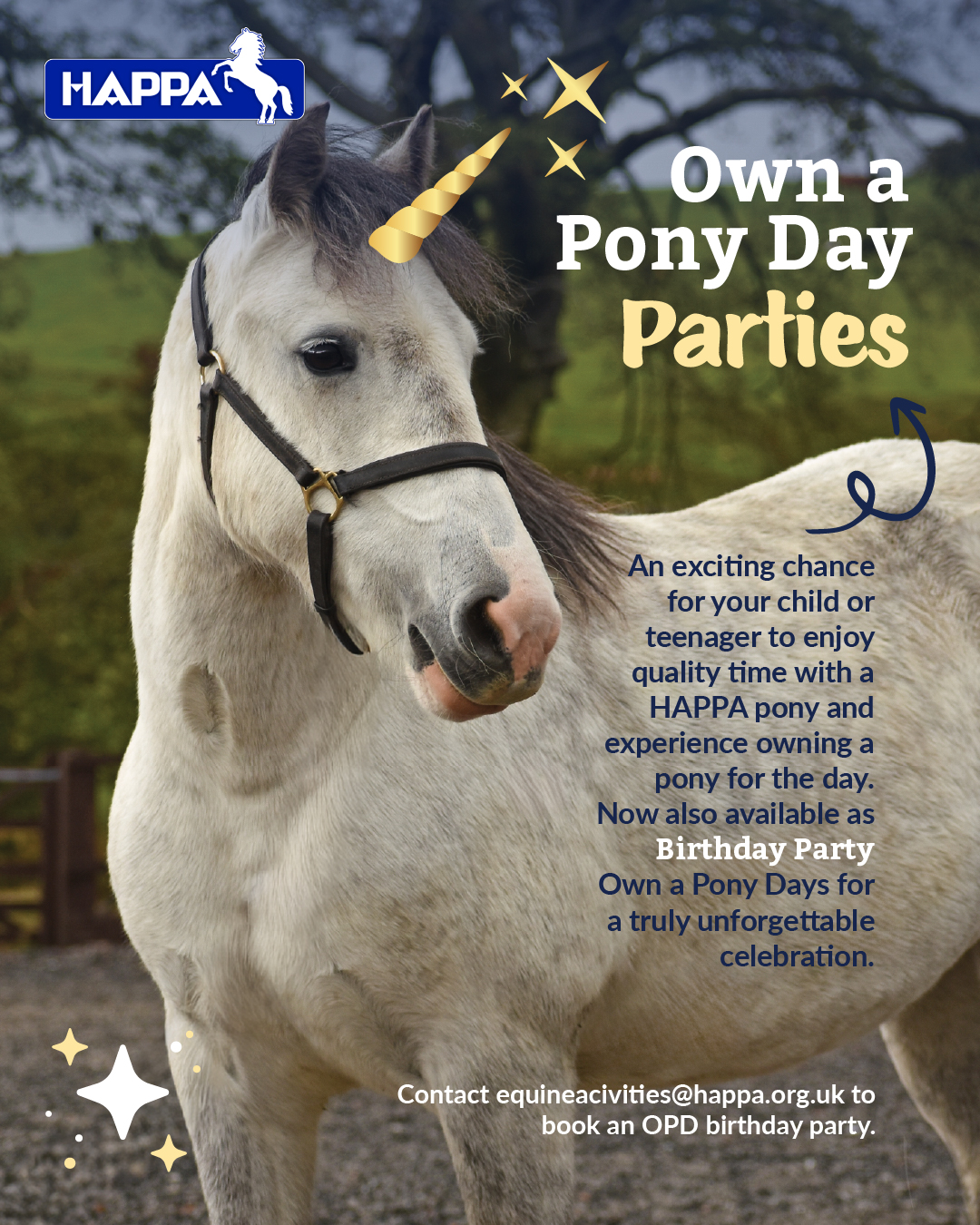 OAP Birthday Party Social