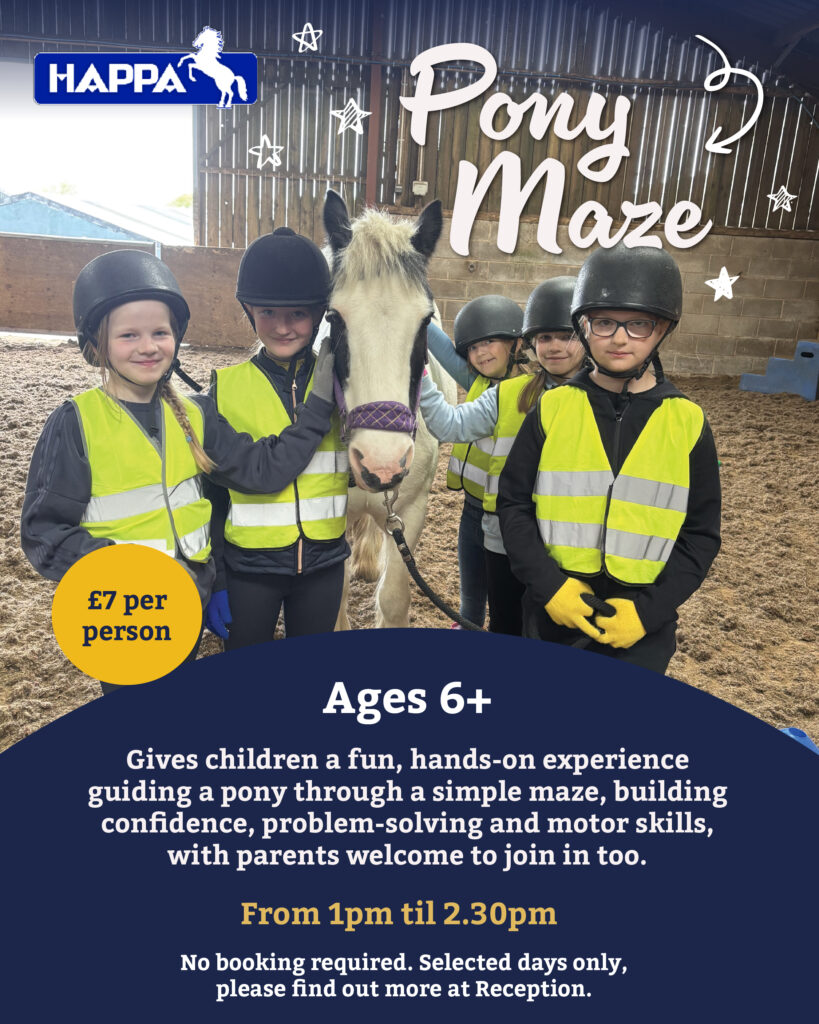 Pony maze activity for children Lancashire
