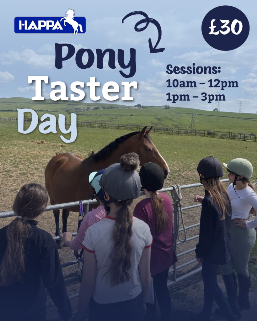 HAPPA Pony Taster Day