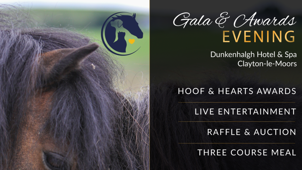Gala & Awards Evening 2026